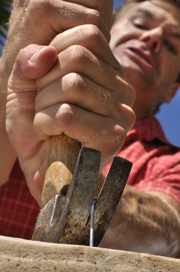 Stuck nail in wood stock image. Image of selective, metal 29808357