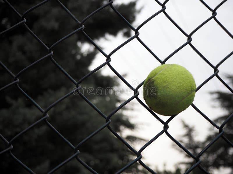 Stuck tennis ball stock photo. Image of barrier, mesh 272738198