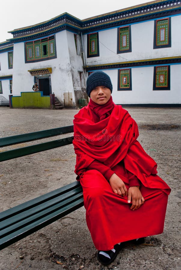 Student Monk royalty free stock images