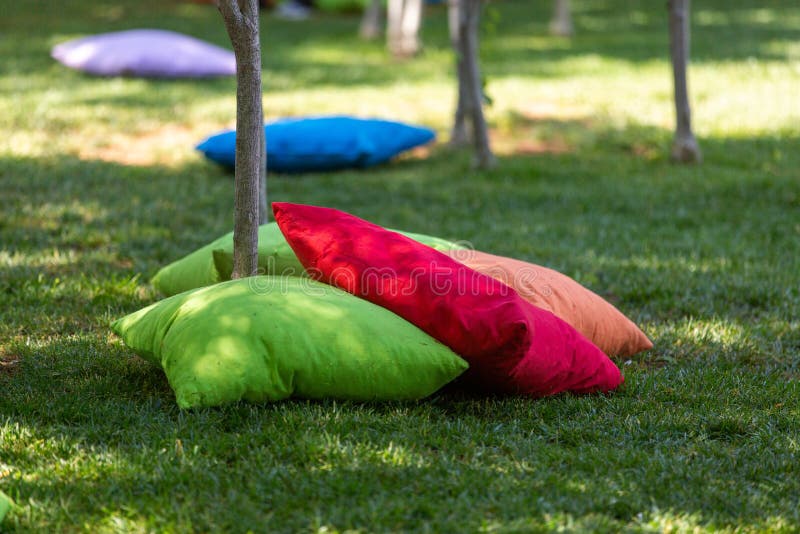 Students Sitting on Cushions Under Trees Stock Photo Image of design