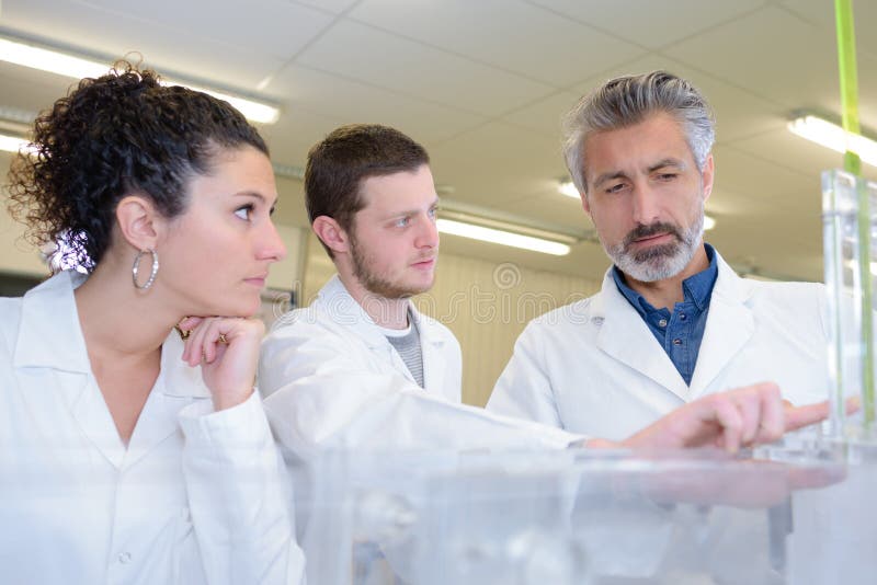 Students and Teacher in Biology Training Course Stock Image Image of education, microscope
