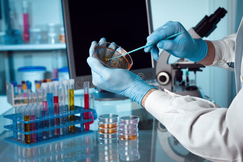 Studera den petri maträtten Studera den petri maträtten