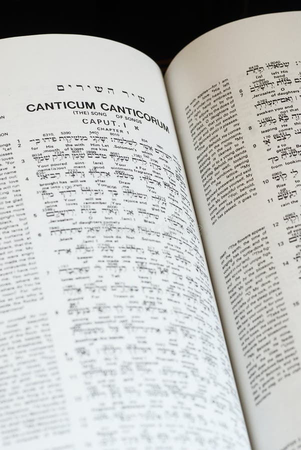 Close-up of the interlinear Bible - Hebrew, Greek and English. Close-up of the interlinear Bible - Hebrew, Greek and English