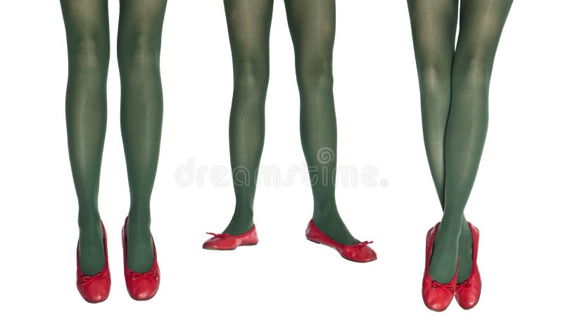 Studio photo of the female legs in colorful tights