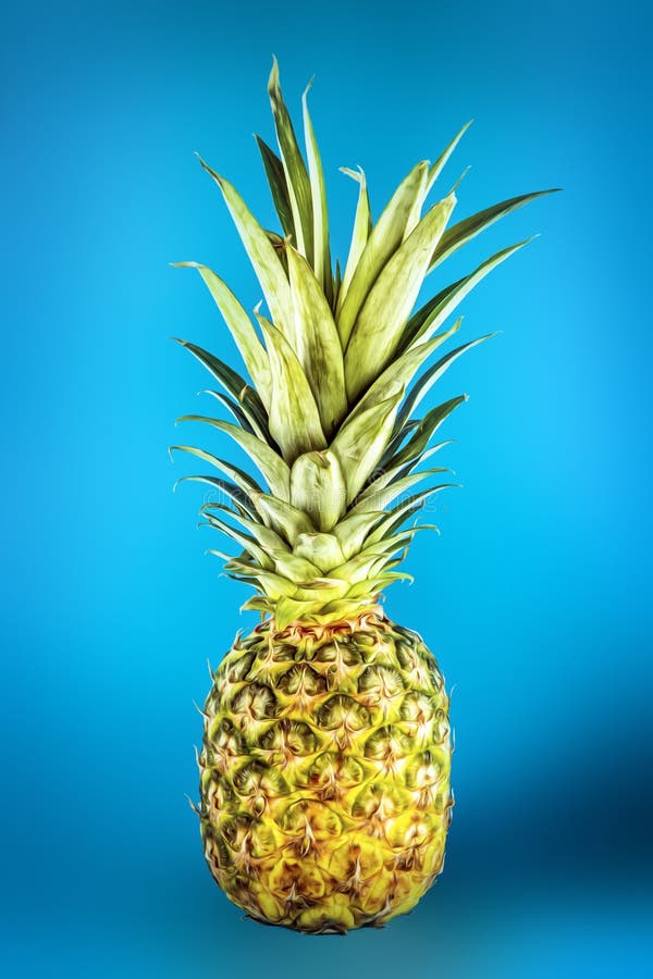 Pineapple on Blue Underground Stock Photo Image of dessert, closeup