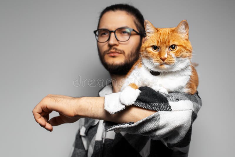 Studio Portrait of Redwhite Cat, Lying on Arm of she`s Human, on Grey
