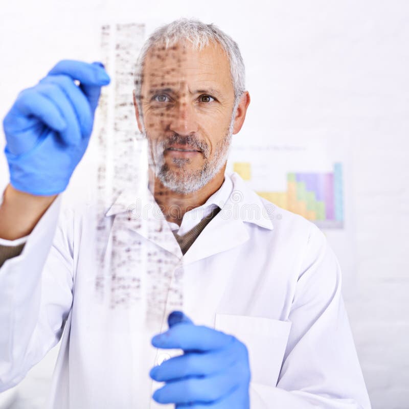 Studying Your DNA. a Male Scientist Examining the Results of a DNA Test