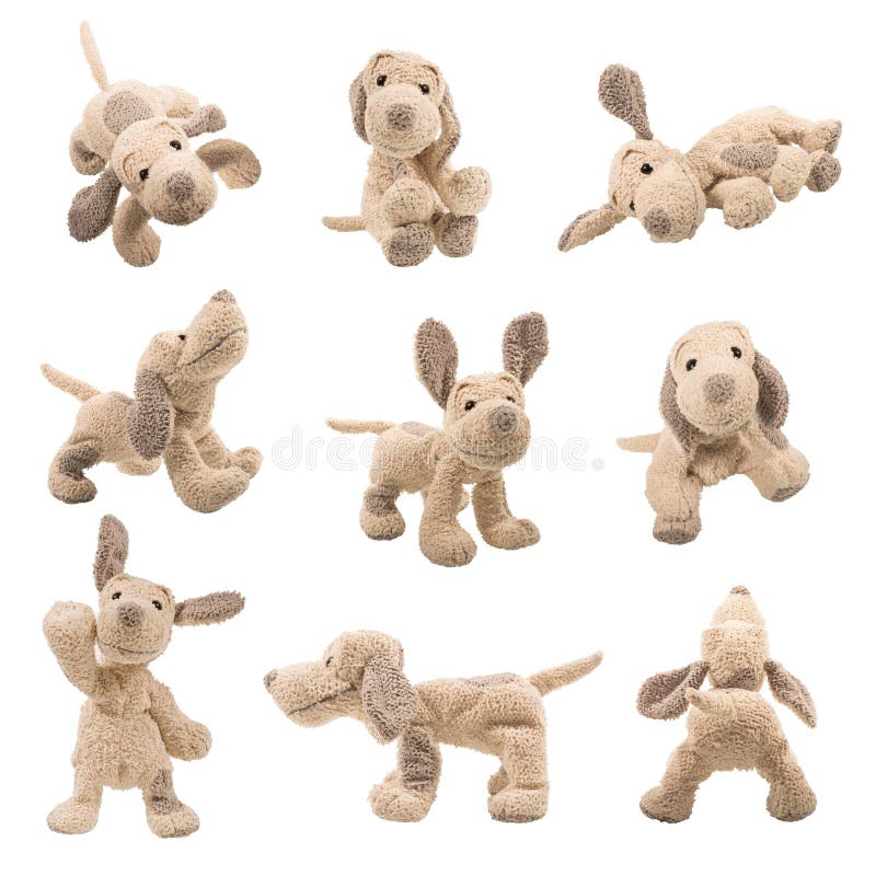 Teddybear dog showing different set of positions. Stuffed animal dog.