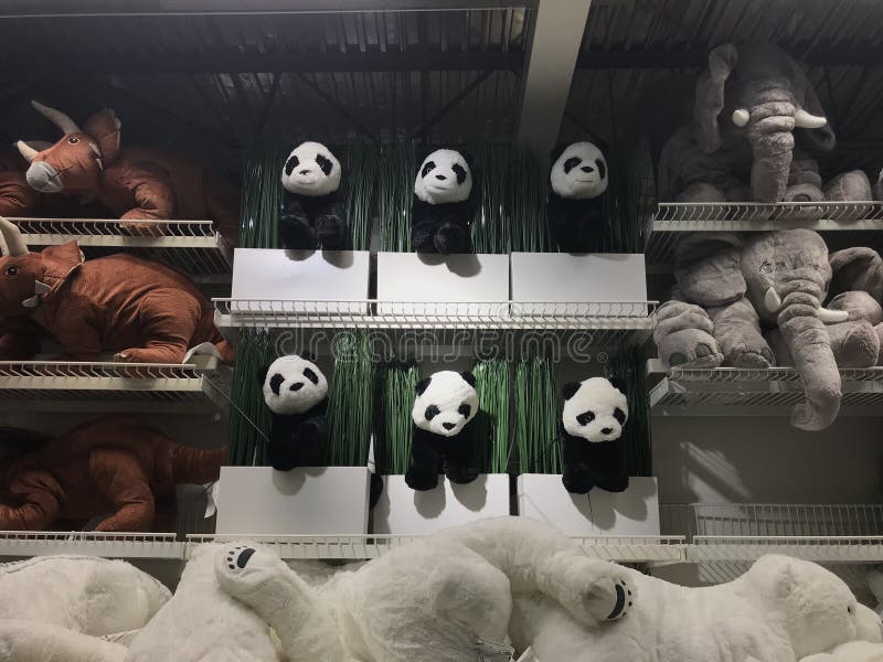 Stuffed animals stock photo. Image of colorful, object - 197615438 Stuffed animals stock photo. Image of colorful, object - 197615438