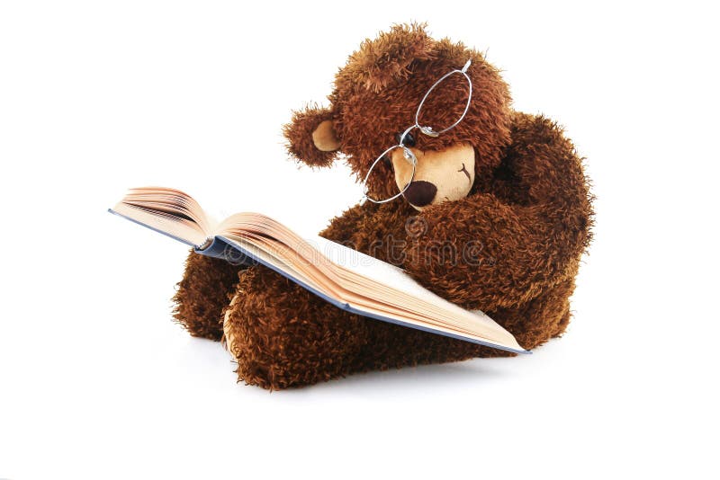 Stuffed bear reading a book isolated on white