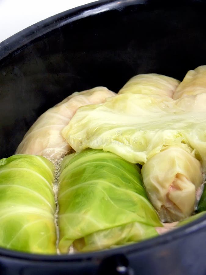 Stuffed Cabbage stock photo. Image of rice, meat, nutrition 65268