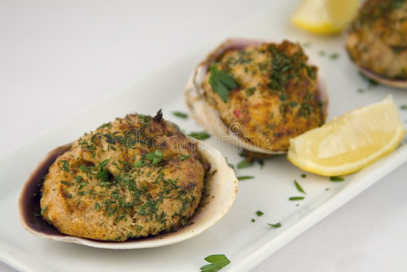 Stuffed clams appetizer stock photo. Image of restaurant 17644476