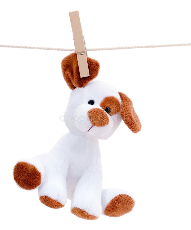 Stuffed dog hanging to dry royalty free stock photo
