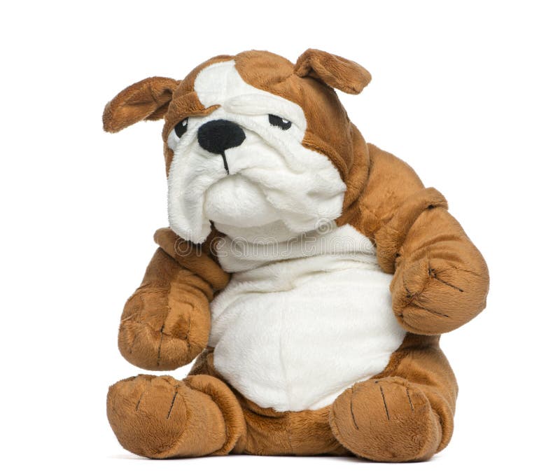 Stuffed English bulldog toy royalty free stock image Stuffed English bulldog toy royalty free stock image
