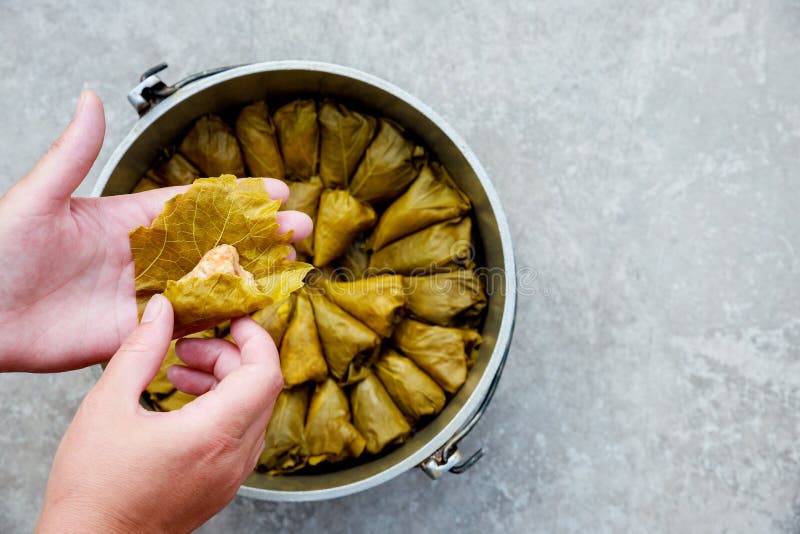 Stuffed Grape Leaves Filled with Mainly Rice and Herbs. Stock Photo