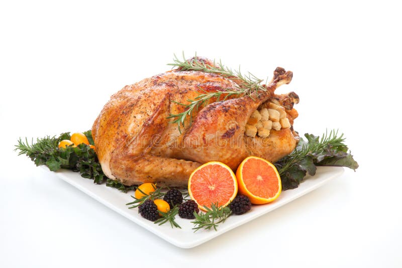 Stuffed turkey stock photo. Image of meal, vegetables - 11194164