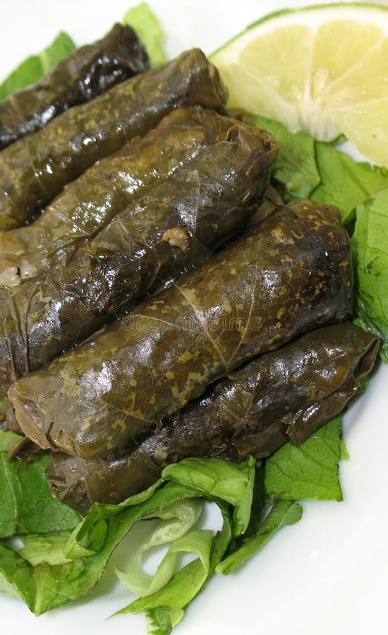 Stuffed Vine Leaves stock image. Image of gastronomy 19334947
