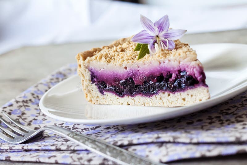 Stuk van bosbessencake op een plaat stock afbeelding Stuk van bosbessencake op een plaat stock afbeelding