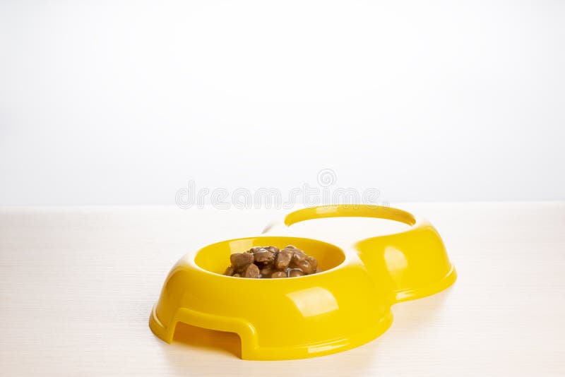 Stukken nat kattenmeel en schoon water in voeder voor gezelschapsdieren royalty-vrije stock afbeelding Stukken nat kattenmeel en schoon water in voeder voor gezelschapsdieren royalty-vrije stock afbeelding