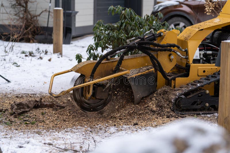 Tree Stump Removing Process with Yellow Stump Grinder Stock Photo