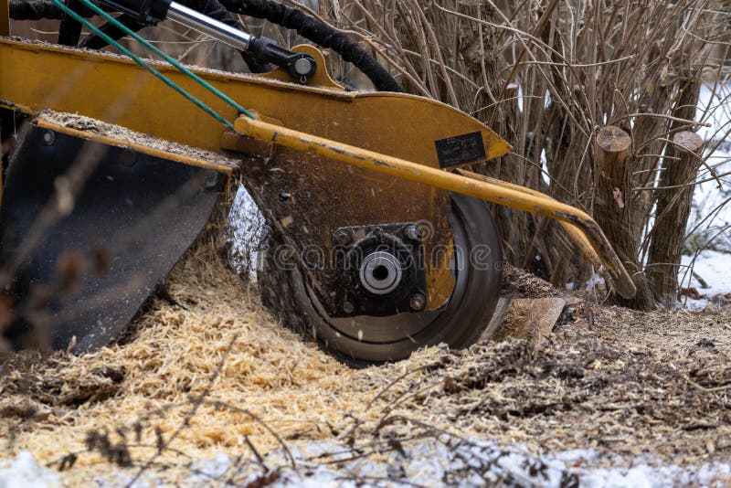 Tree Stump Removing Process with Yellow Stump Grinder Stock Photo