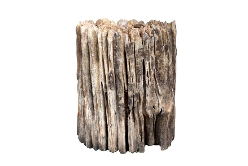 Stump, les vieux rondins, délabrement en bois sur le foyer sélectif d'isolement de fond blanc photographie stock Stump, les vieux rondins, délabrement en bois sur le foyer sélectif d'isolement de fond blanc photographie stock