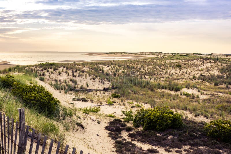 Stunning Beach landscape at sunset