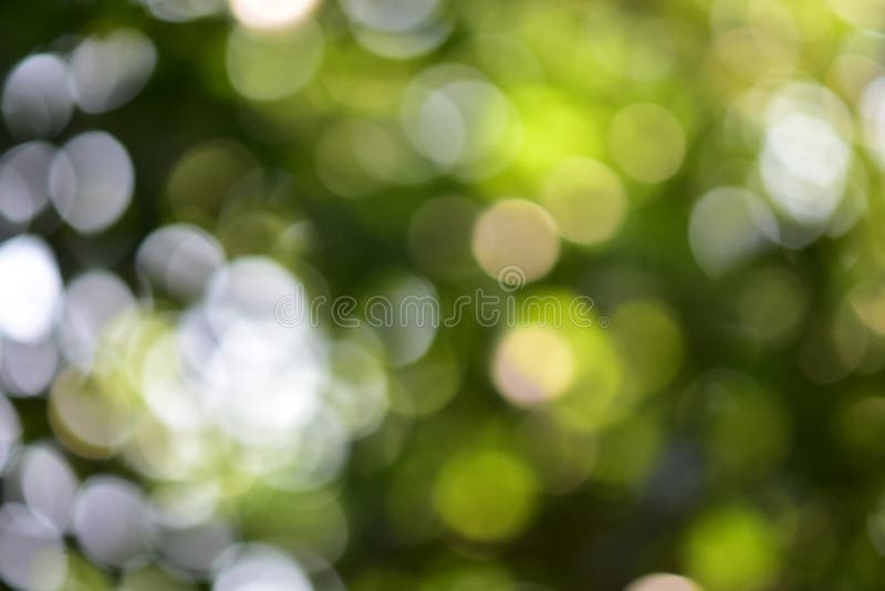 Bokeh backgrounds royalty free stock image