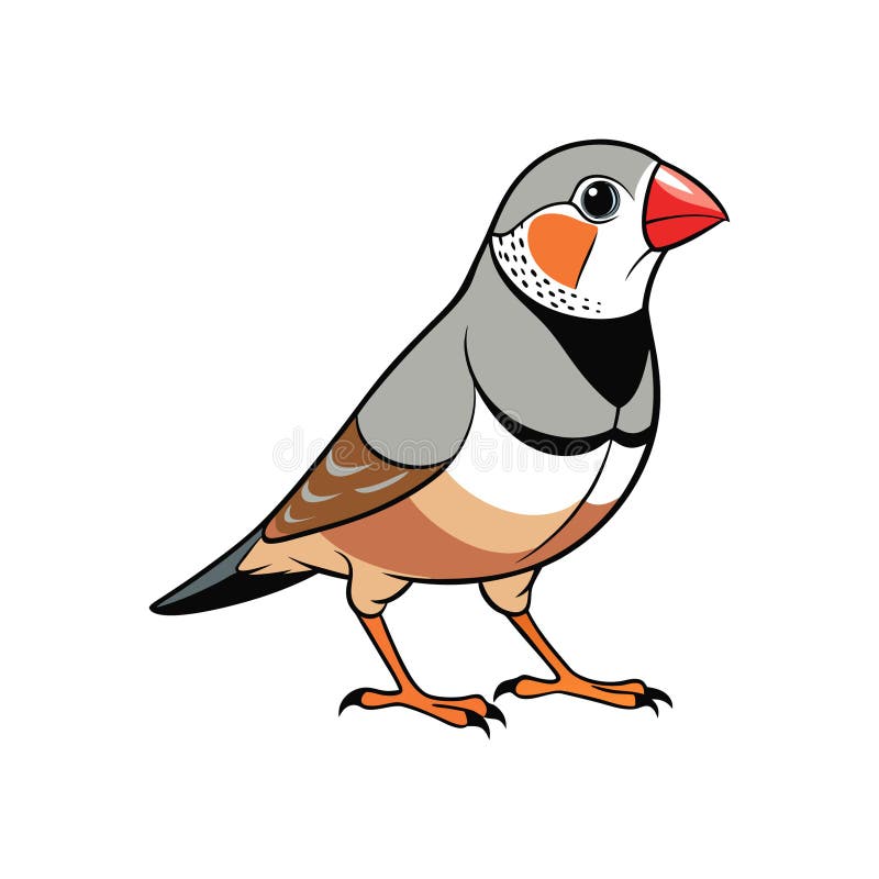 Stunning Burchells Zebra Finch Bird Artwork vektor illustrationer