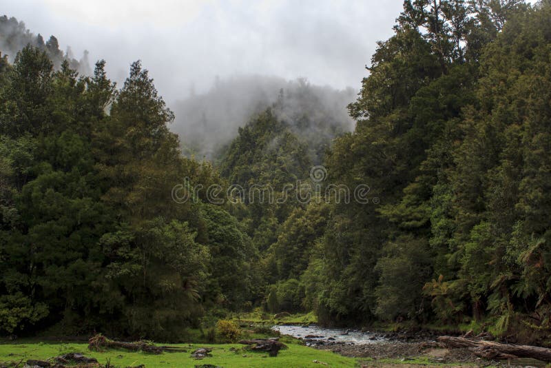 Stunning landscape in North island of New Zealand stock photography Stunning landscape in North island of New Zealand stock photography