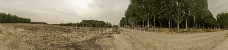 A serene panoramic view reveals a treelined path beside a vast, barren field under a beautifully cloudy sky, enhancing the tranquility and captivating beauty of this peaceful scene. Captivating path stock images, royalty-free photos and pictures