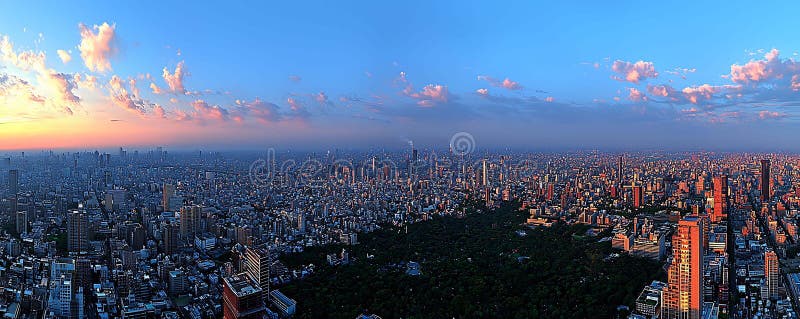 Stunning panoramic sunset view of a sprawling metropolis. Vibrant sky colors contrast beautifully with the dense urban landscape vector illustration