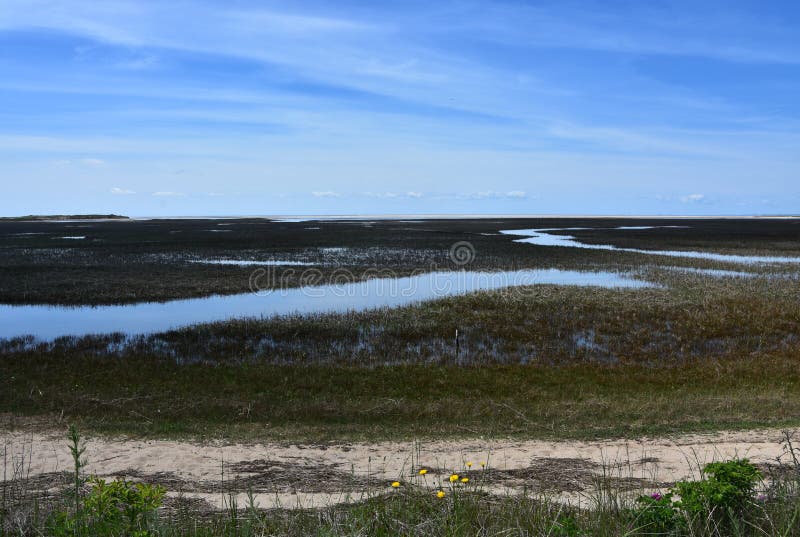 Stunning Scenic Views of Tidal Flats on the Cape royalty free stock photography
