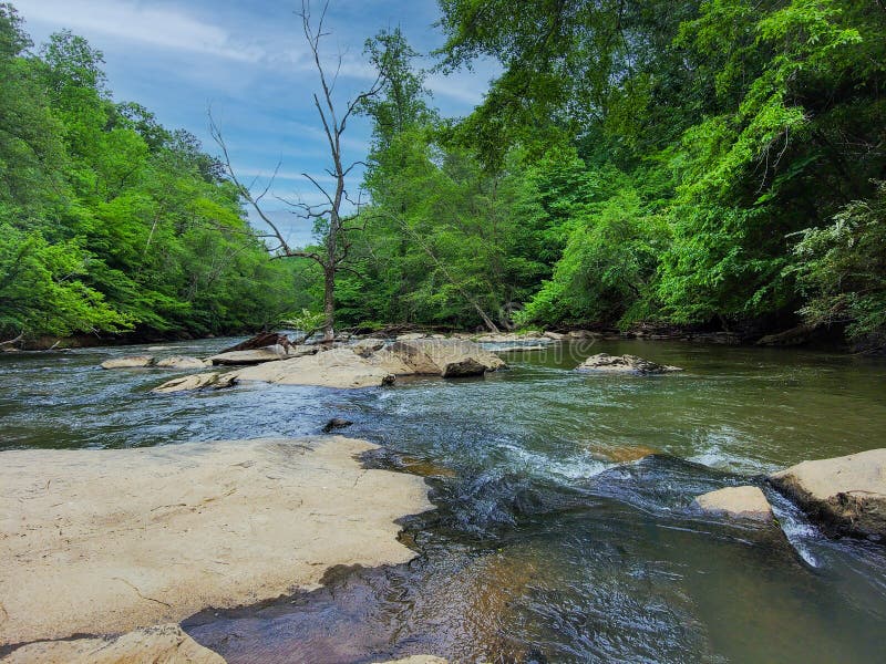 A stunning shot of the rushing river water of Big Creek river with lush green trees and large rocks on the banks