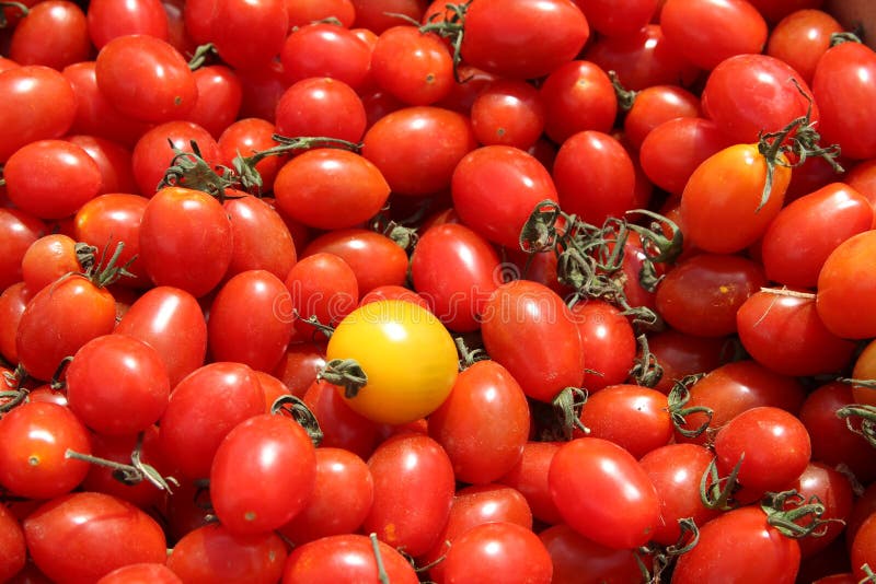 Stunning tomatoes at a market