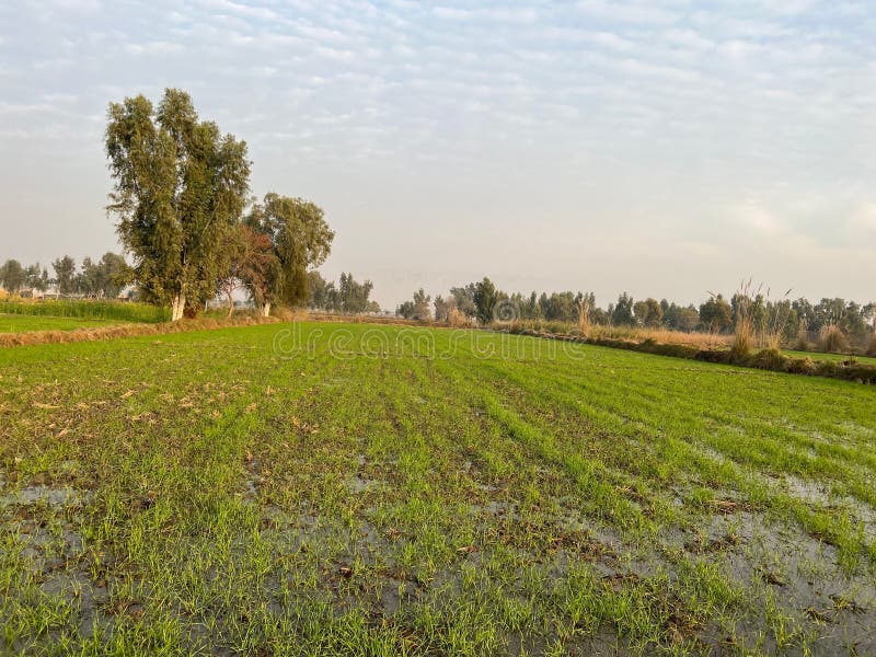 Kacha Road Stock Photos Free & RoyaltyFree Stock Photos from Dreamstime