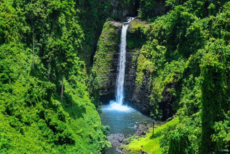 Stunning view of wild jungle waterfall with pristine water, Sopoaga Tropical Waterfall Samoa close up, Upolu Island, Western