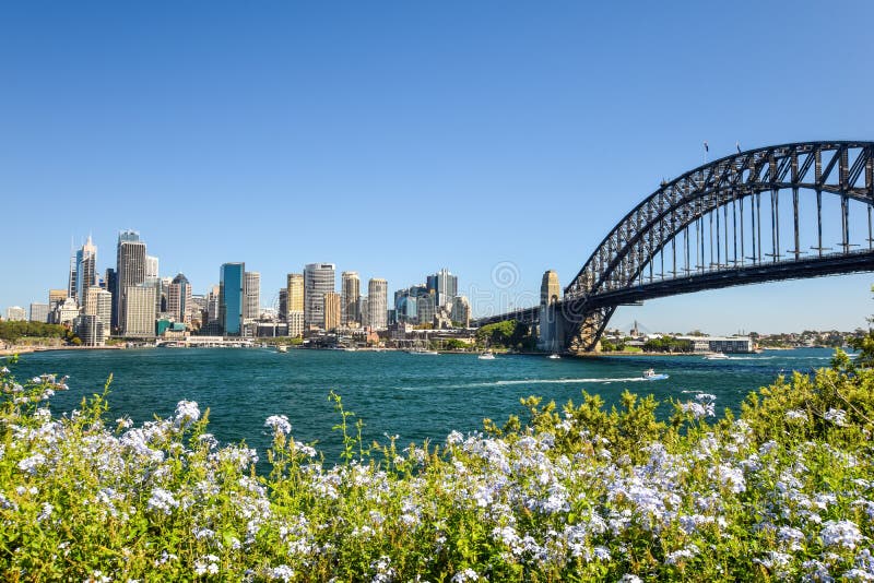 Stunning wide angle city skyline view of the Sydney CBD harbour area at Circular Quay with the harbour bridge. Seen from Dr Mary B stock image Stunning wide angle city skyline view of the Sydney CBD harbour area at Circular Quay with the harbour bridge. Seen from Dr Mary B stock image