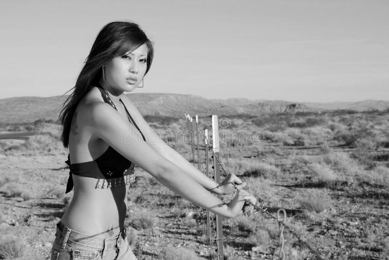 Stunning woman by wire fence royalty free stock image