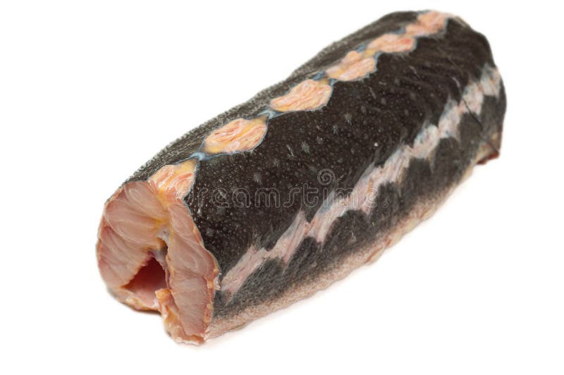 Sturgeon Meat Ready for Cooking. Stock Image Image of meal, seafood
