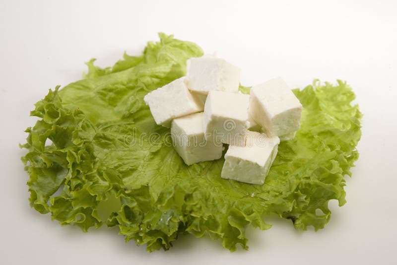 Stycke av ost eller Paneer royaltyfri bild Stycke av ost eller Paneer royaltyfri bild