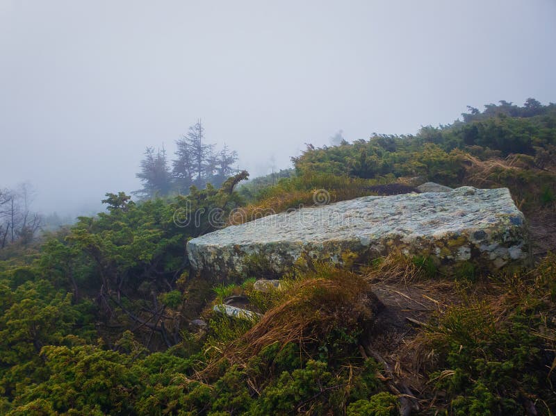 Stycket av vaggar av stora mått som sett på en bergkulle till och med de barrträds- buskarna Granitsten över den dimmiga dalen arkivbilder