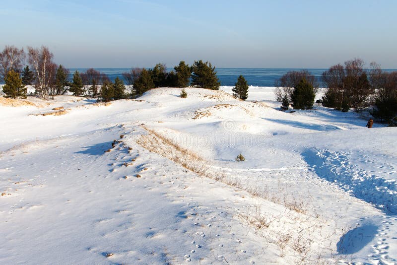 Styczeń 33c krajobrazu Rosji zima ural temperatury obraz stock Styczeń 33c krajobrazu Rosji zima ural temperatury obraz stock