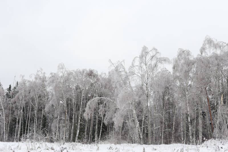 Styczeń 33c krajobrazu Rosji zima ural temperatury Rosyjska natura zdjęcie stock Styczeń 33c krajobrazu Rosji zima ural temperatury Rosyjska natura zdjęcie stock