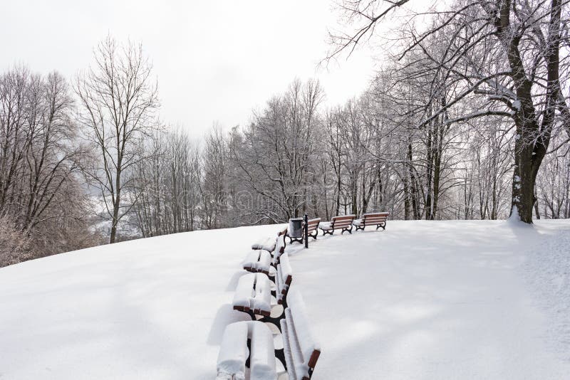Styczeń 33c krajobrazu Rosji zima ural temperatury Zima w śnieżnym parku z osamotnionymi ławkami pod zima opadem śniegu Zima park obraz stock Styczeń 33c krajobrazu Rosji zima ural temperatury Zima w śnieżnym parku z osamotnionymi ławkami pod zima opadem śniegu Zima park obraz stock
