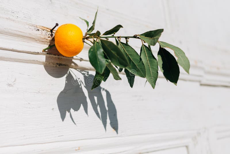 Style méditerranéen Orange comme la décoration photographie stock Style méditerranéen Orange comme la décoration photographie stock