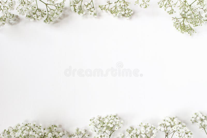 1,260,654 Wedding Background Stock Photos - Free & Royalty-Free Stock Photos from Dreamstime 1,260,654 Wedding Background Stock Photos - Free & Royalty-Free Stock Photos from Dreamstime