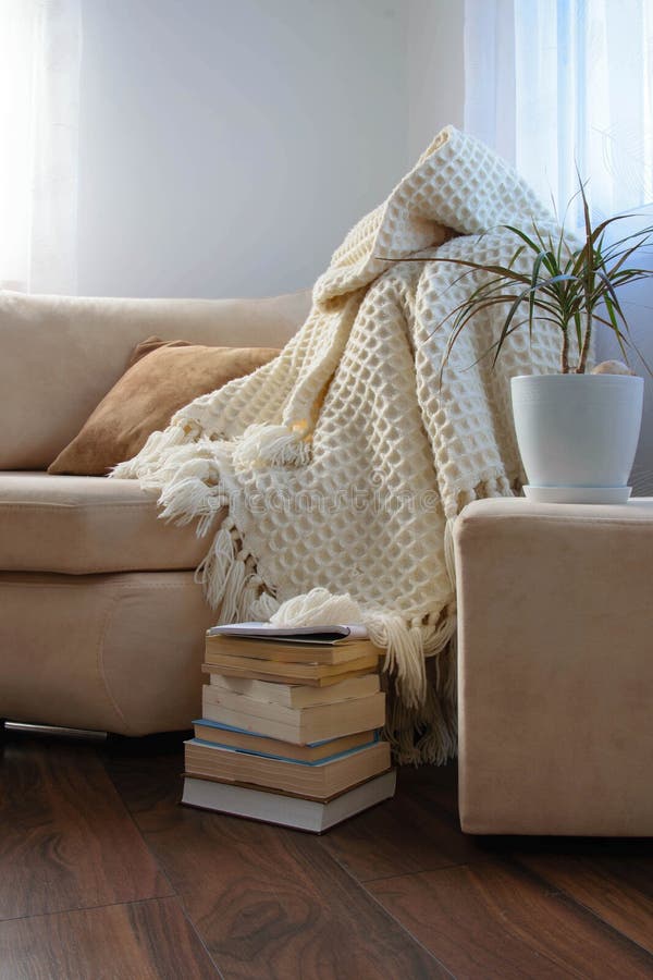 Stylish brightly interior of living room. Inviting comfortable sofa with handmade woolen blanket, books and potted plant. royalty free stock images Stylish brightly interior of living room. Inviting comfortable sofa with handmade woolen blanket, books and potted plant. royalty free stock images