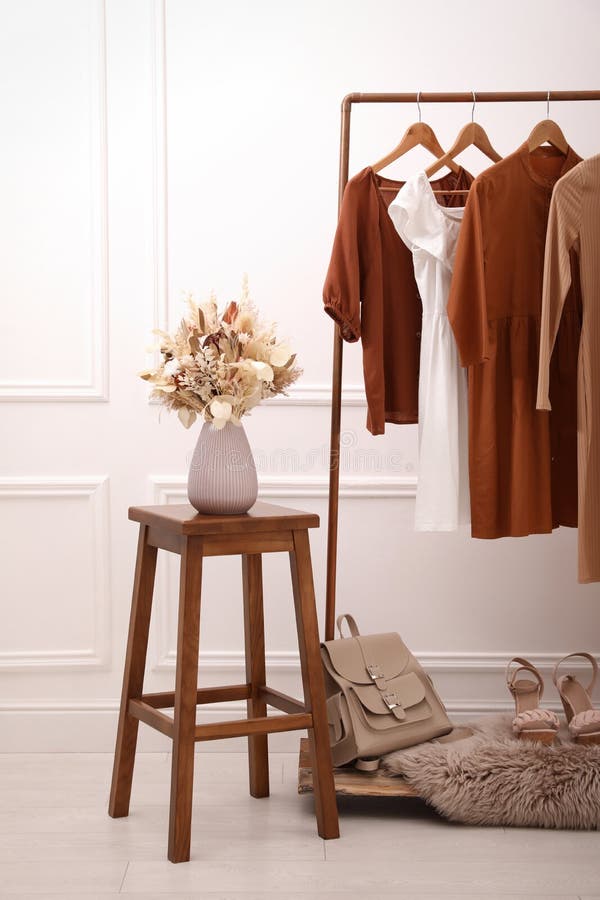 Stylish Clothes Hanging on Rack in Dressing Room. Interior Design Editorial Stock Image Image