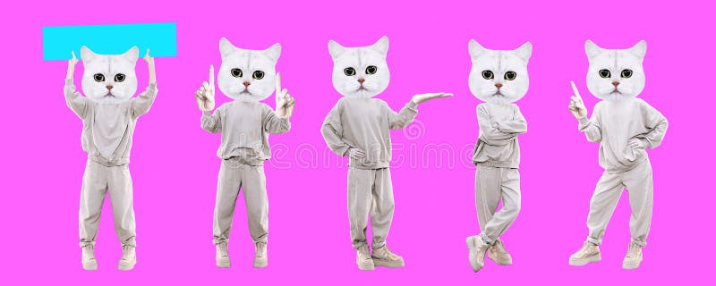 Stylish Collage Banner. Funny Kitty Characters. Emotions and Gestures Set.  Ideal for Social Networks, Promotion Concept Stock Photo - Image of banner,  media: 227759890